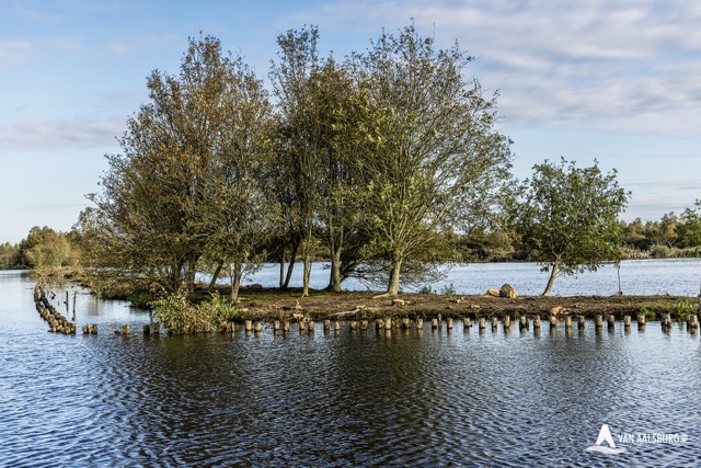 Drie generaties vakmanschap, zichtbaar online aanpak